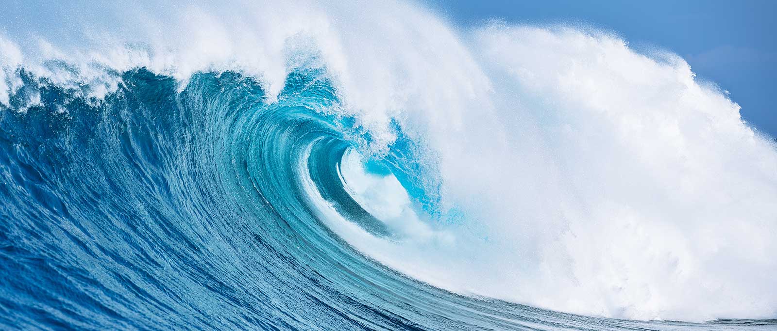 Membership Growth Wave