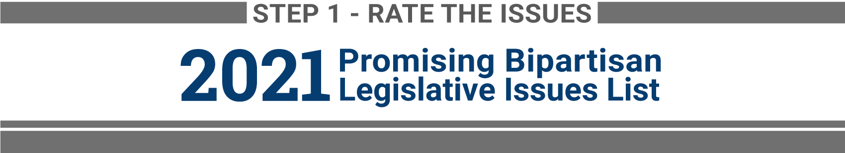 Step1 Rate the Issues for 2021