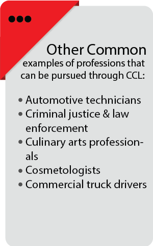 Skills Development in Other Industries